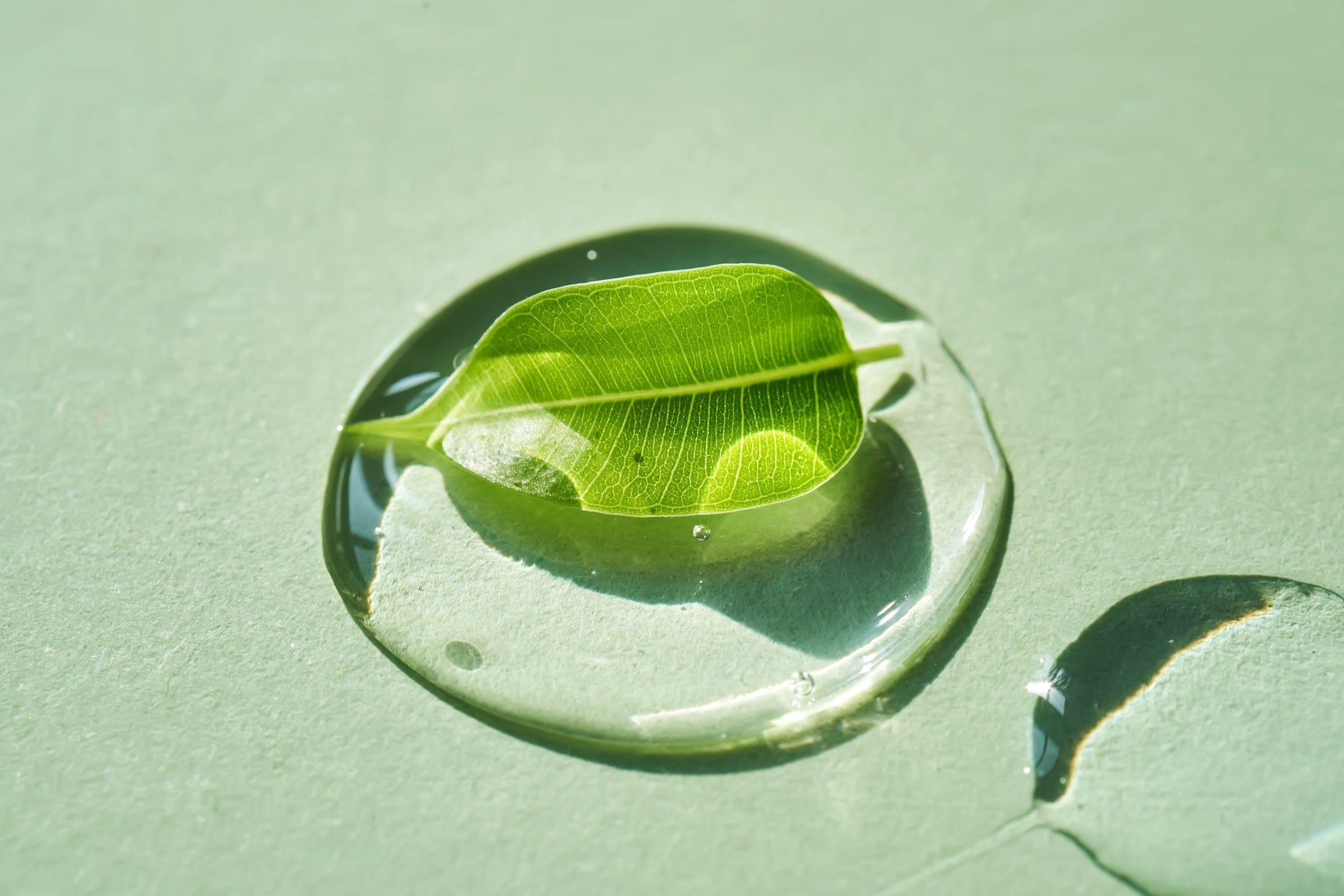 A Closer Look at Natural Ingredients That Help Maintain Oral Moisture